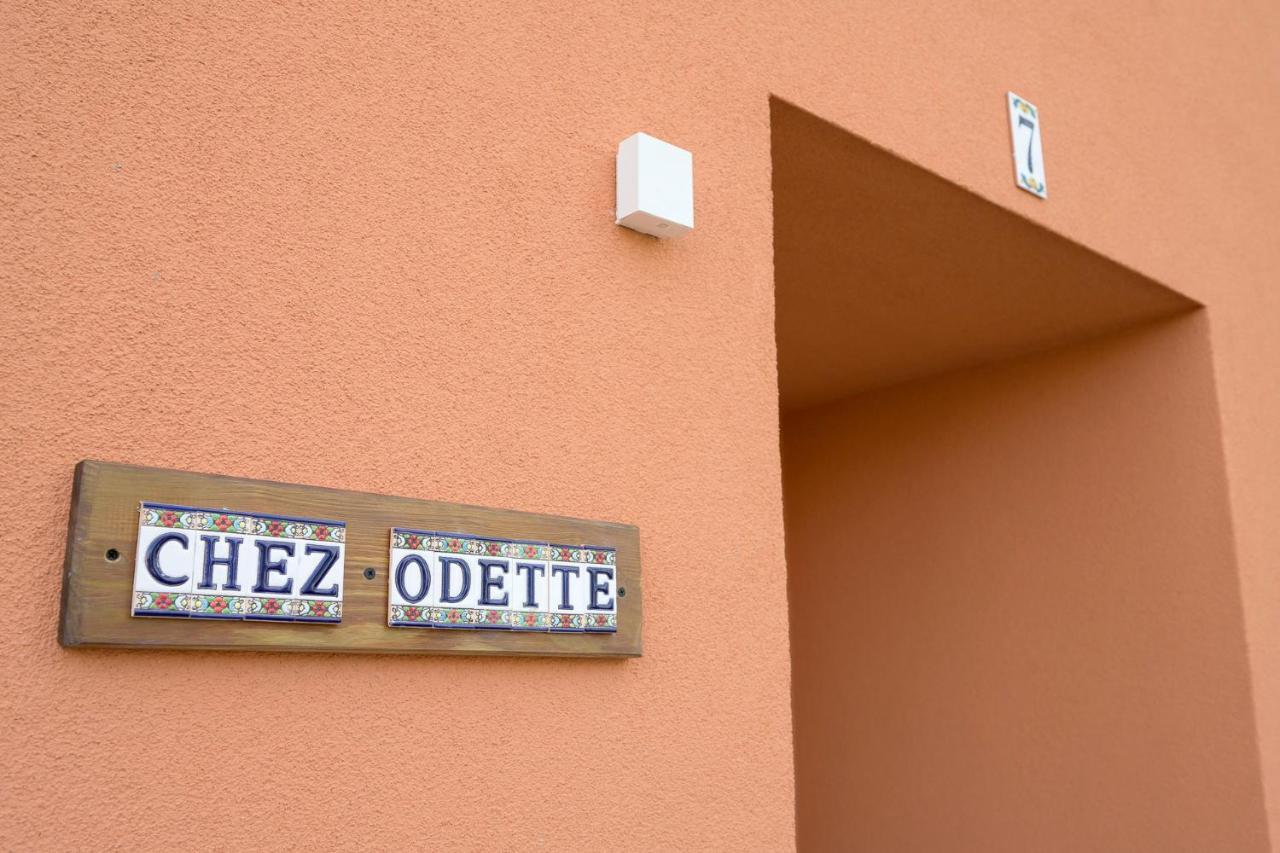 Chez Odette - Spa, Plancha, Parking Альбі Екстер'єр фото
